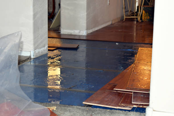 Professional Burst Pipe Cleanup technician working in Elora, TN